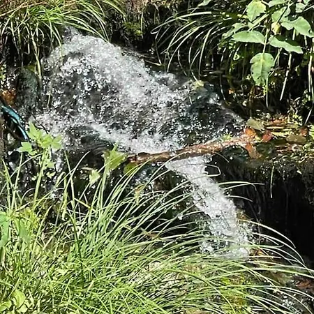 Casa Da Tintim Em * Baiao