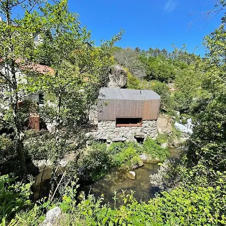 Casa Da Tintim Em *
