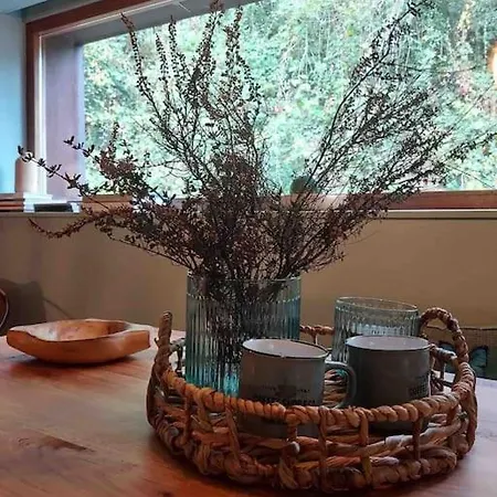 Casa Da Tintim Em Baiao