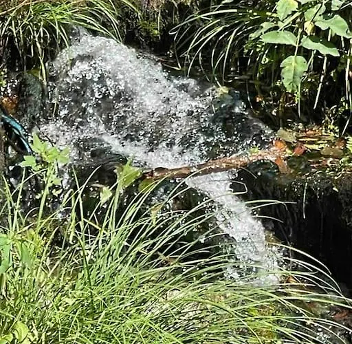 Casa Da Tintim Em * Baião