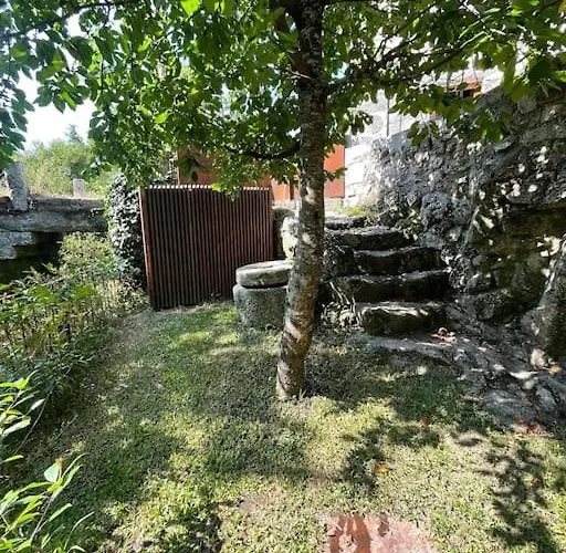 Casa Da Tintim Em * Baião