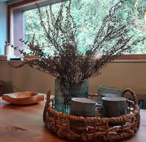 Casa Da Tintim Em Baião