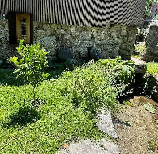 Casa Da Tintim Em Feriehus *